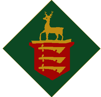 191 Fld Rgt arm badge