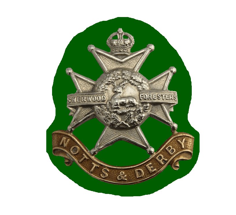 40 SL Regt cap badge