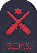 DEMS gunner