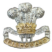 Pembroke Yeomanry collar badge
