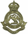 99 Fld Rgt Bucks Hussars cap badge field regiments