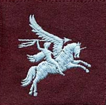 Airborne Division medium regiments