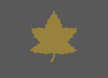 3 Canadian Infantry Division