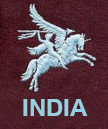 44 Indian Airborne Division 123 Parachute Field Regiment RA